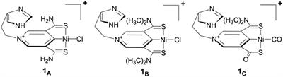 Computational Prediction of Ammonia-Borane Dehydrocoupling and Transfer Hydrogenation of Ketones and Imines Catalyzed by SCS Nickel Pincer Complexes